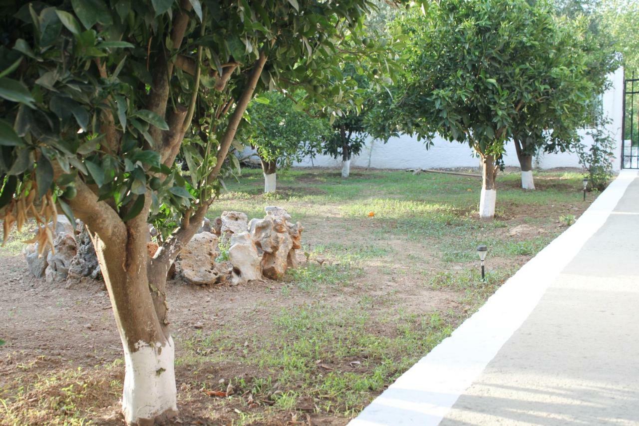 Villa Elias Maro House à Avdou Extérieur photo